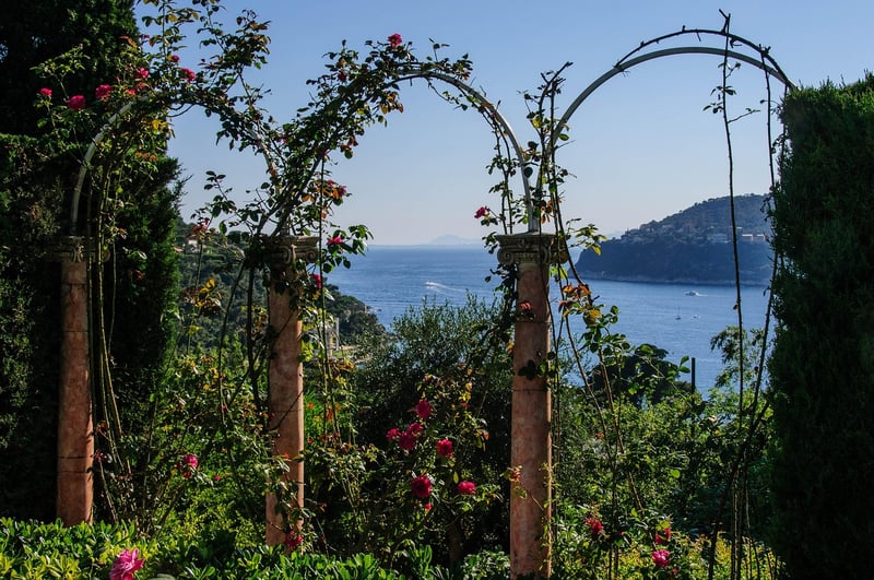 Enchanted Arbors